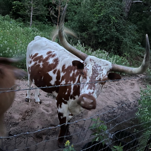 Meet your Posher, Jill - Picture 6 of 8